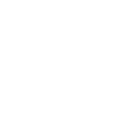 Professional Team icon